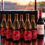 MÁLÀ 6-Pack + Free Cabernet Sauvignon