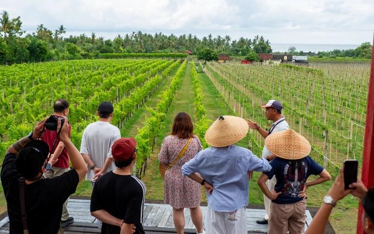 A group of tourists visiting Indonesian vineyard with a local guide.