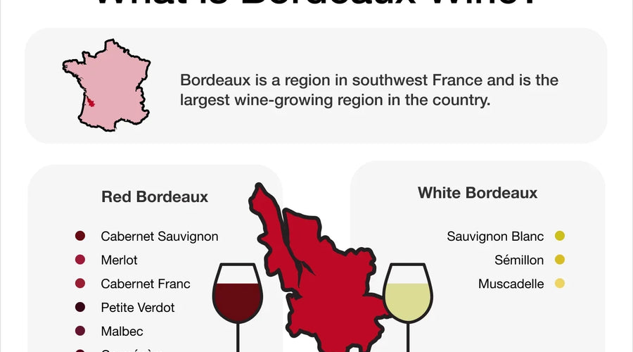 Bordeaux Wine Explained: Left Bank, Right Bank & Bordeaux Blends