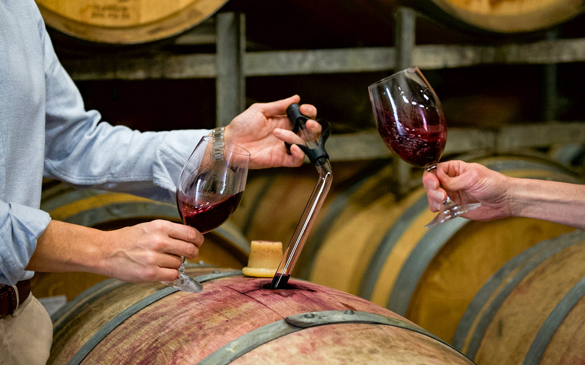 The Flying Winemaker's Harvest Report 2024 Margaret River Flying Winemaker Holdings Limited