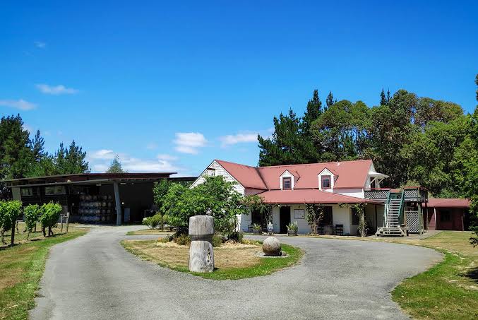 Gladstone Vineyard 