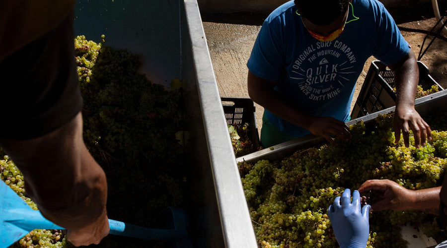 Have an MBA But Know Nothing About Wine? Start Here