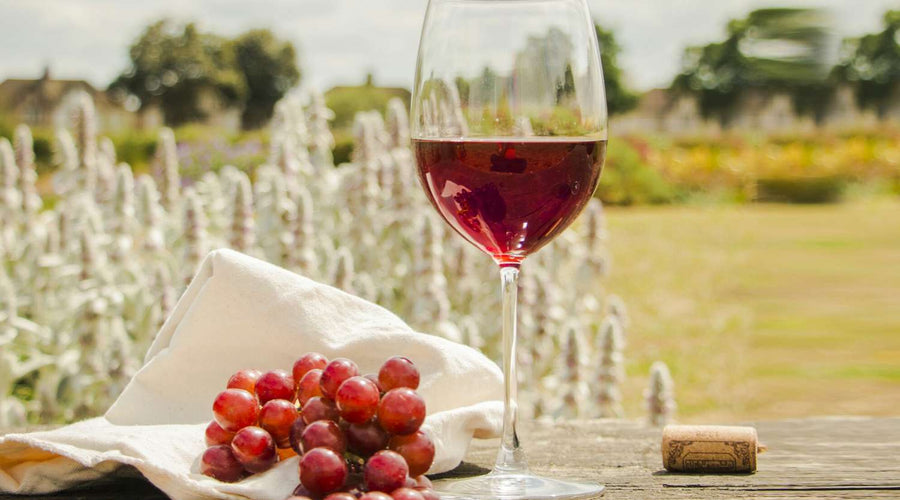 The Health Benefits of Wine: What the Science Really Says
