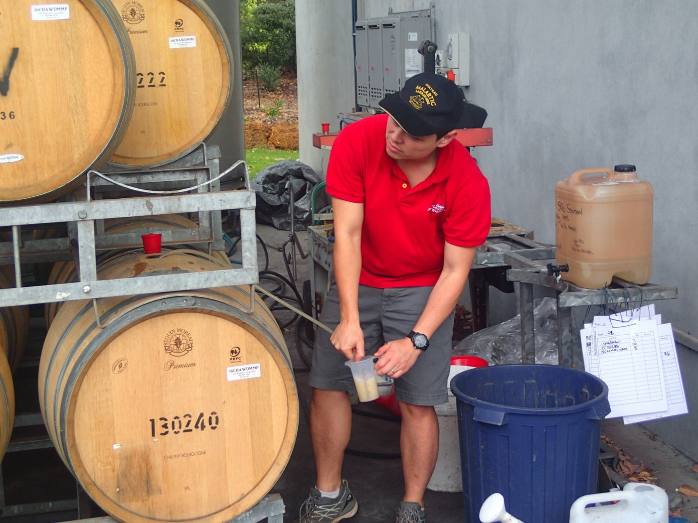My Origin Story: How I Became A Winemaker